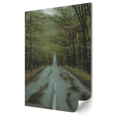 Poster decorativ cu drum verde în pădure