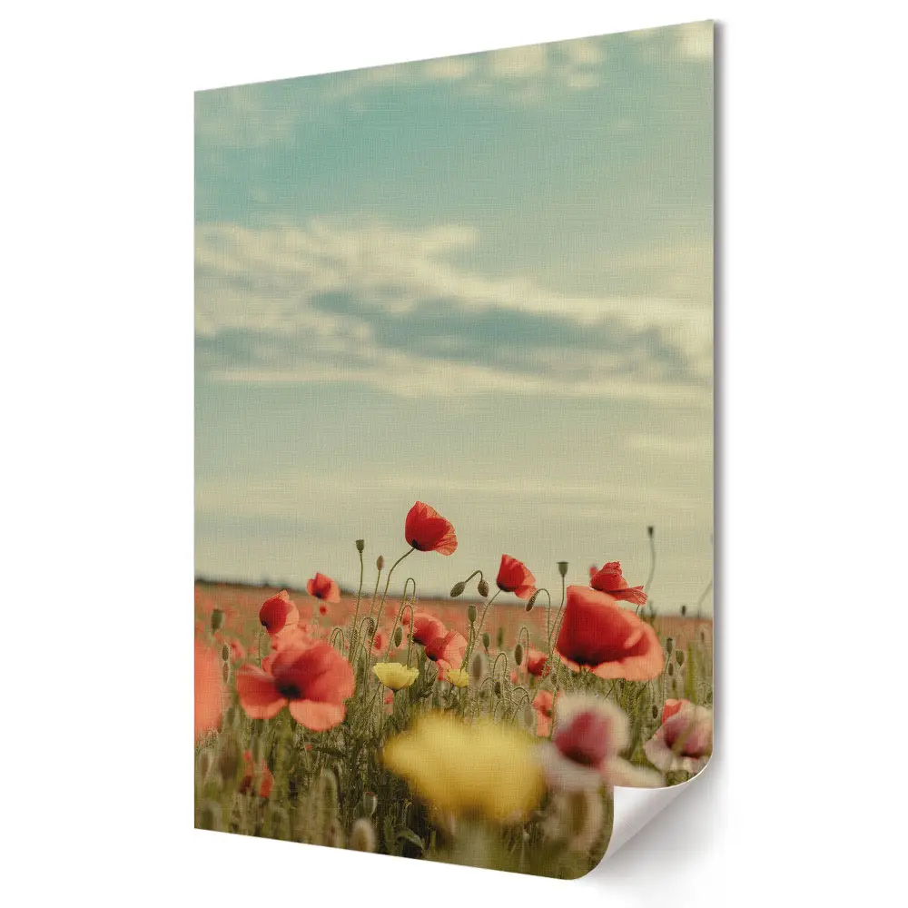 Poster de perete Peisaj floral în soarele de vară