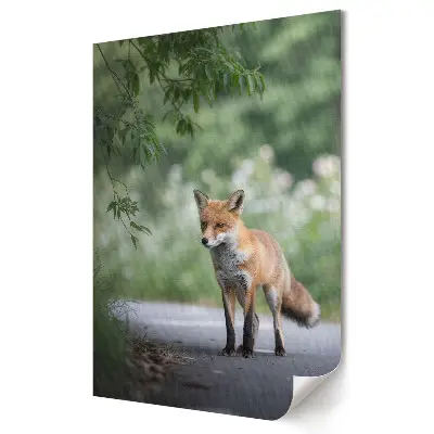 Poster de perete cu vulpe în habitatul natural