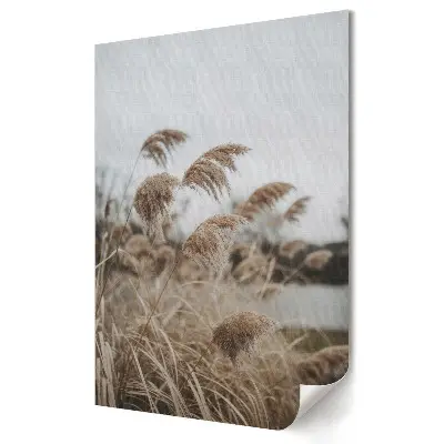 Poster decorativ Ierburi delicate în nuanțe de gri și bej