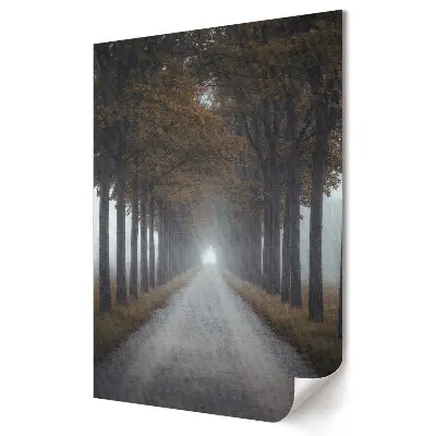 Tablou canvas cu grafică murală reprezentând o cale cețoasă prin copaci de toamnă