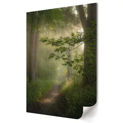 Poster de perete Calea fermecată în pădure