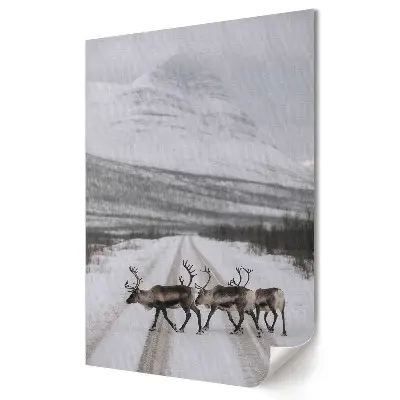 Poster de perete cu reni pe un drum de munte iarna