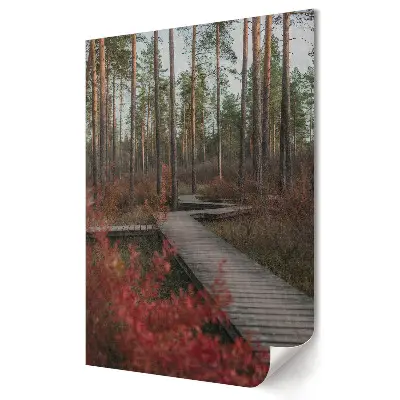 Poster de perete O cale magică într-un peisaj forestier