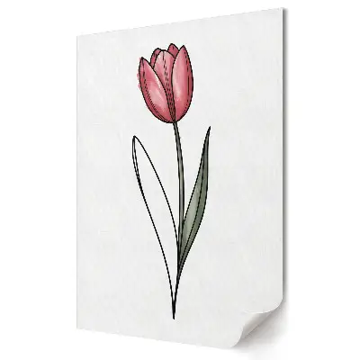 Poster decorativ Lalea elegantă pe fundal alb