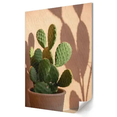 Poster de perete Craniu de cactus în umbră