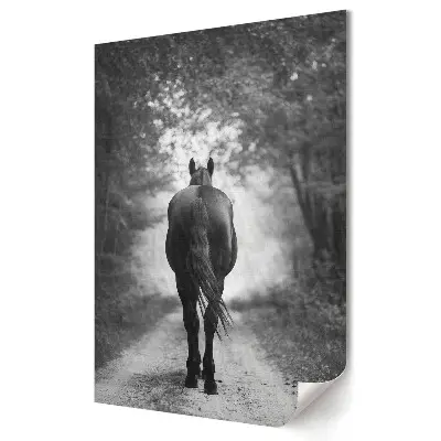 Tablou canvas Umbra calului în ceața pădurii