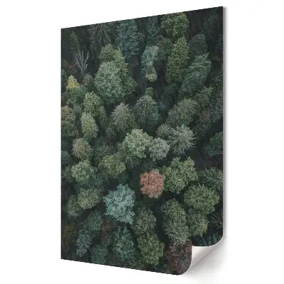 Poster de perete cu peisaj forestier în nuanțe de verde