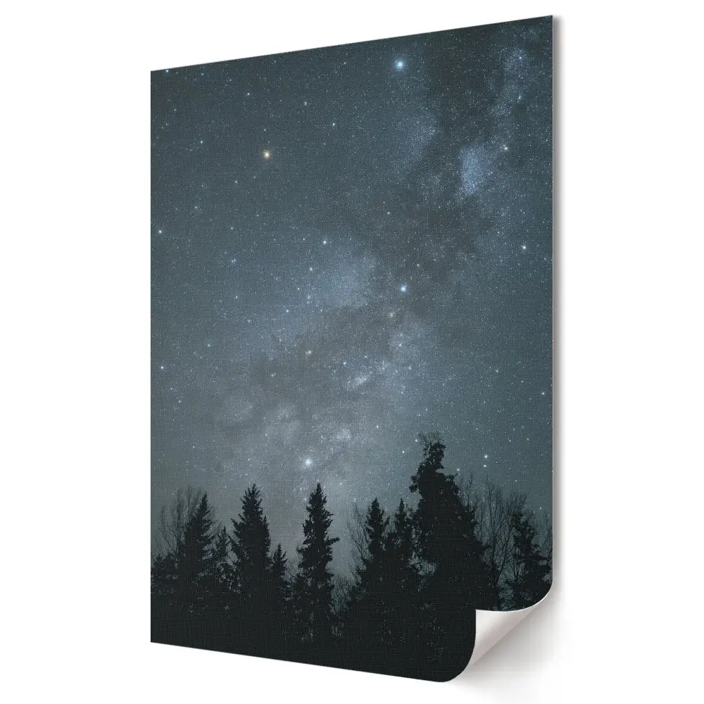 Tablou canvas cu cer nocturn înstelat