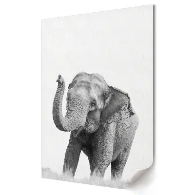 Poster decorativ cu elefant în stil monocrom