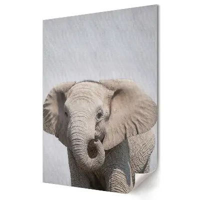 Poster decorativ cu elefant