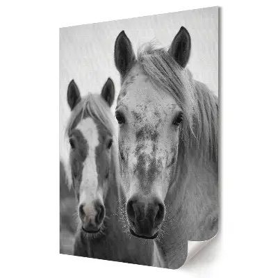 Tablou canvas monocolor cu cai
