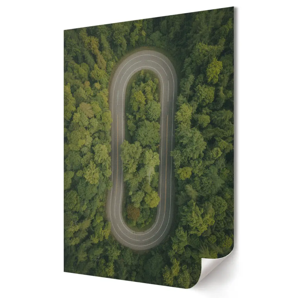 Poster de perete cu drum șerpuitor prin pădurea verde