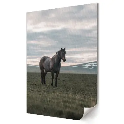 Tablou canvas cu un cal calm pe o pajiște verde