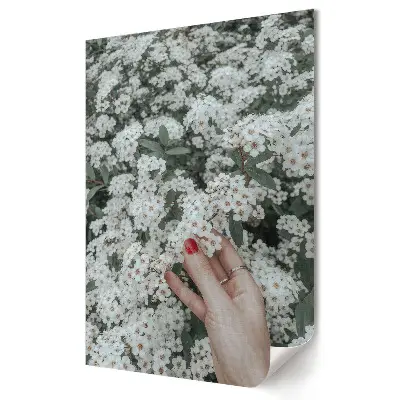 Tablou canvas Delicatețea albului printre verdeață