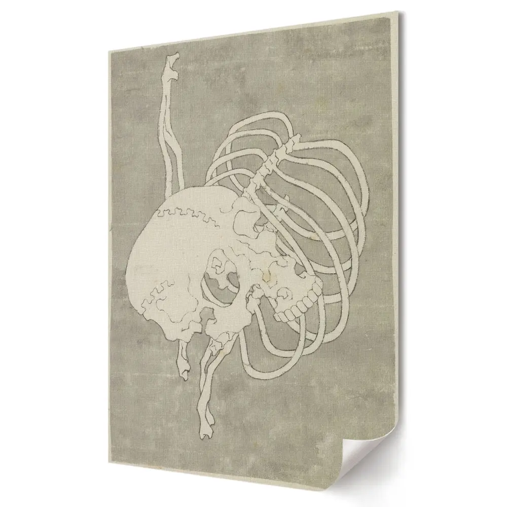 Tablou canvas cu grafică murală reprezentând studiul anatomic al craniului și coastelor