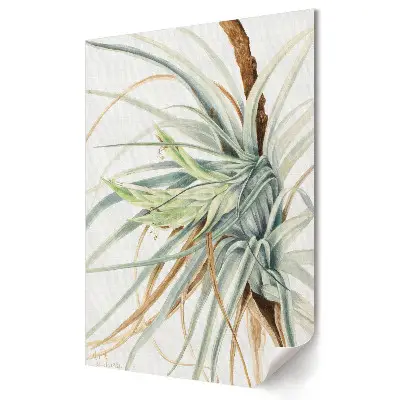 Poster decorativ cu design de plantă tropicală în acuarelă