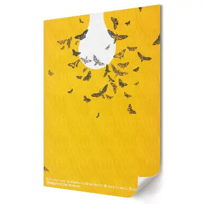Poster decorativ Fluturi în lumina creativității