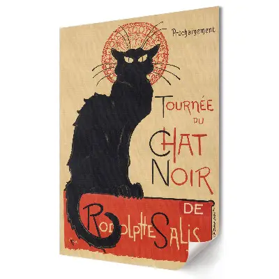 Tablou canvas Magia pisicii negre din Paris