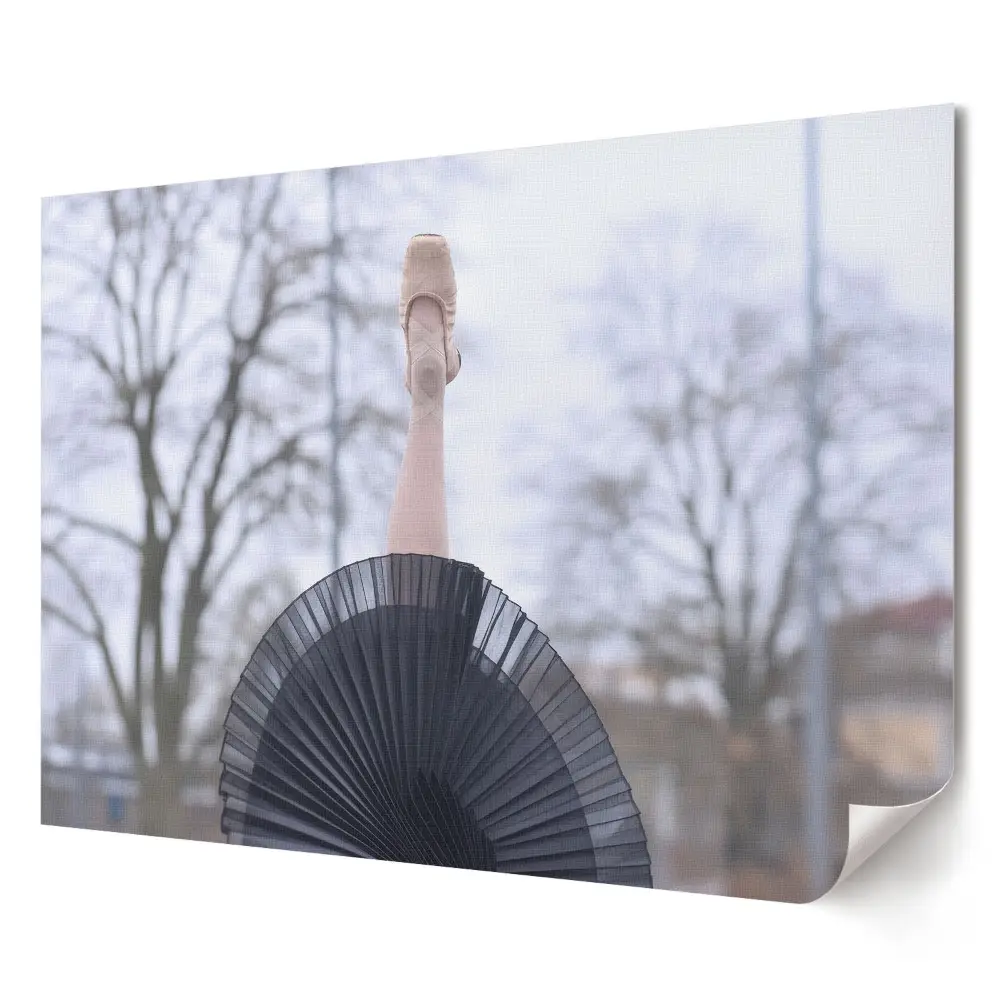 Tablou canvas modern reprezentând o balerină cu umbrelă