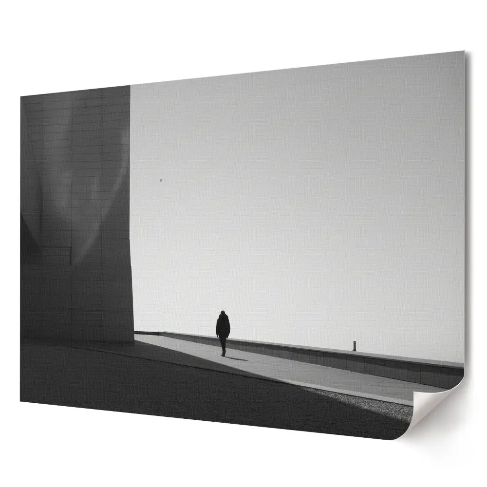 Tablou canvas modern O plimbare solitară într-o lume monocromatică