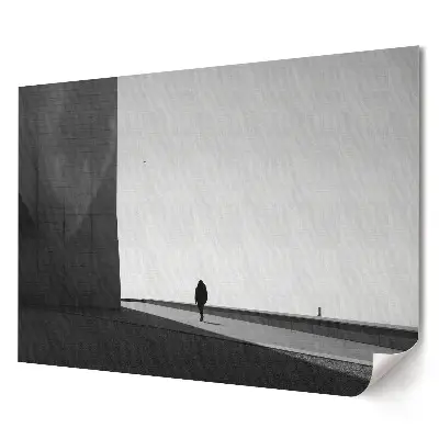 Tablou canvas modern O plimbare solitară într-o lume monocromatică
