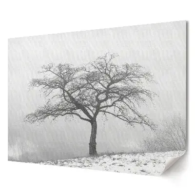 Tablou canvas modern cu copac singuratic într-un peisaj învăluit în ceață