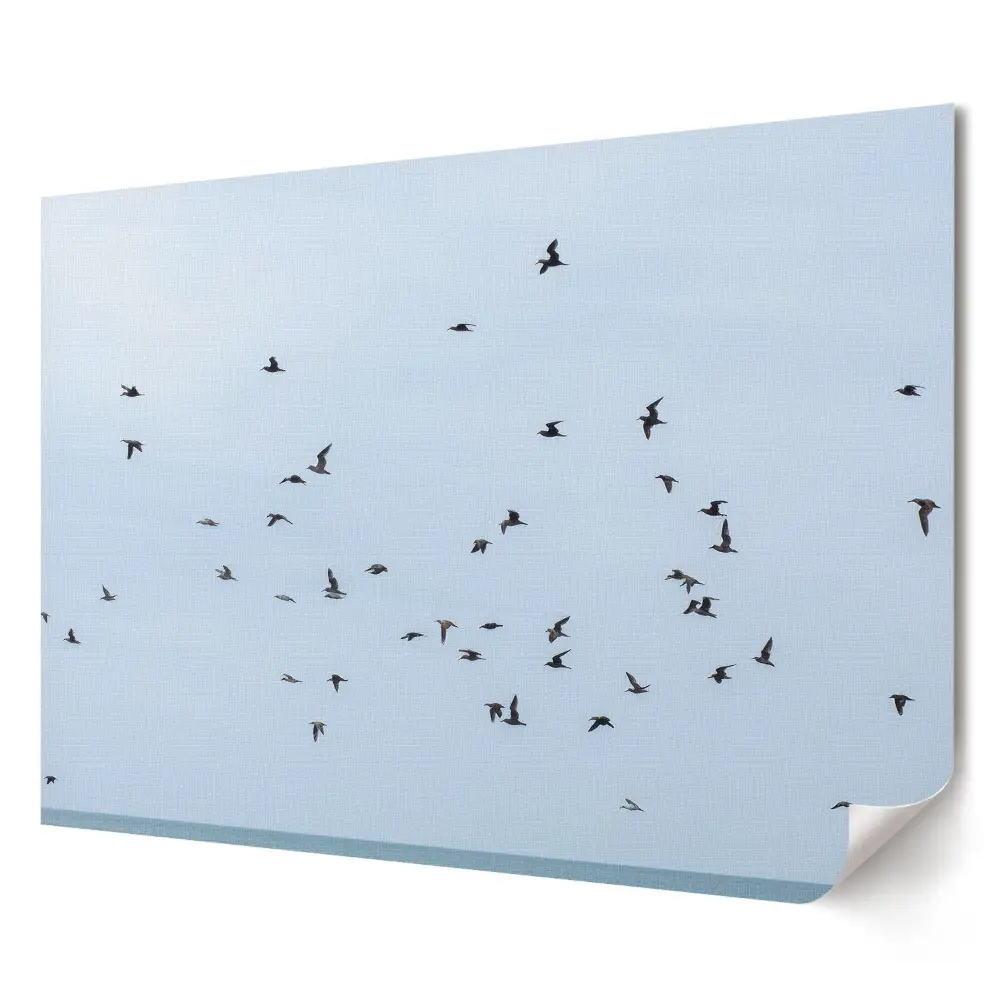 Tablou canvas modern cu păsări zburând pe cer