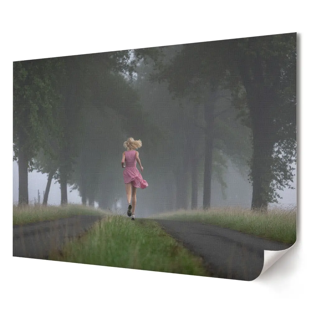 Tablou canvas modern cu alee de copaci în ceață