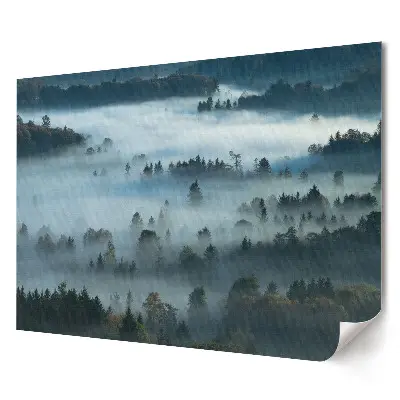 Tablou canvas modern cu panoramă de pădure cețoasă la răsărit