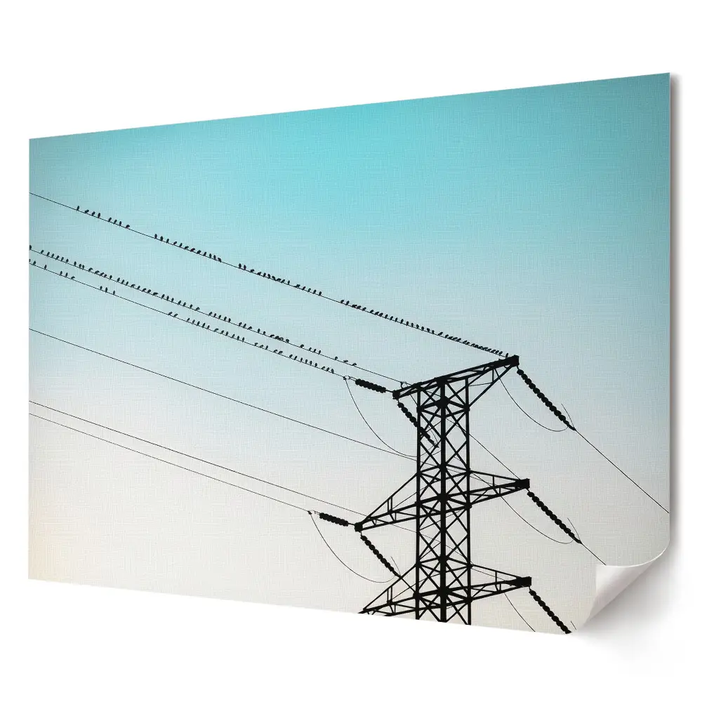Tablou canvas modern Păsări pe linii electrice