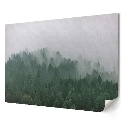 Tablou canvas modern cu panoramă cețoasă a pădurilor verzi