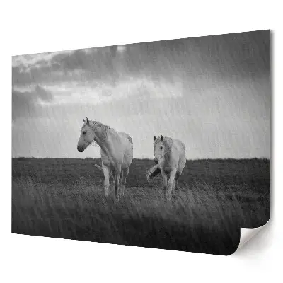 Poster decorativ pentru living cu cai albi la apus