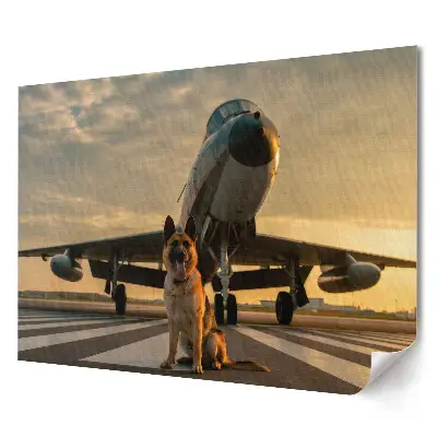 Tablou canvas modern Câine pe pista unui avion