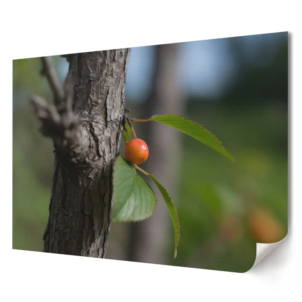 Poster de perete elegant cu fructe în copac