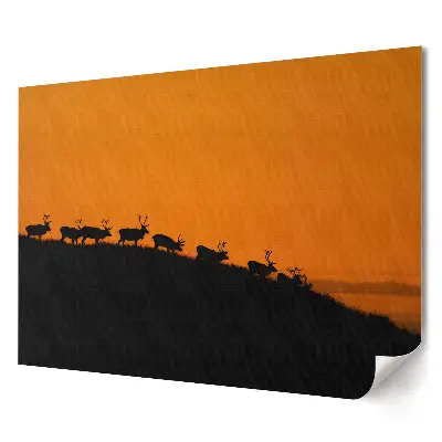 Poster decorativ cu ren la apus pentru living