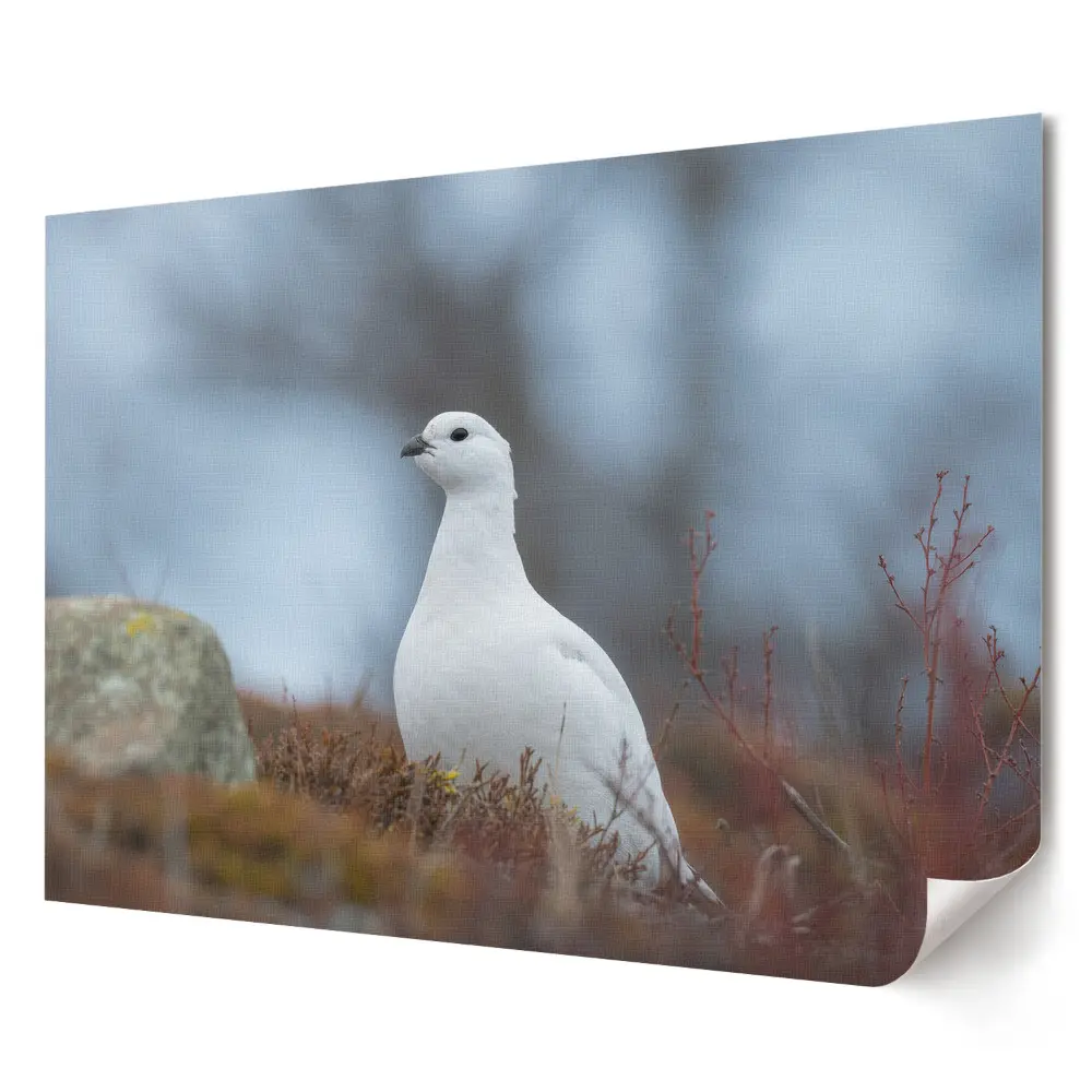 Poster elegant pentru perete