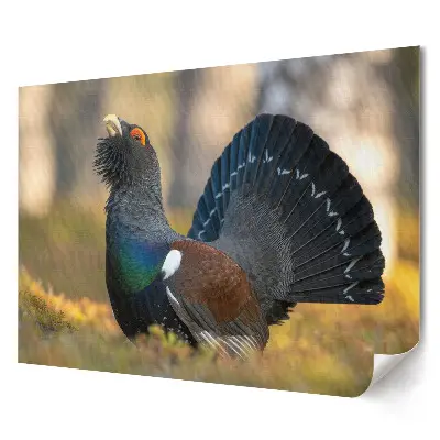 Poster stilizat pentru living cu cocoș de munte în habitatul natural