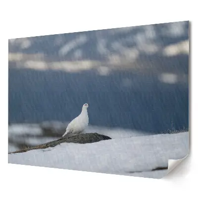 Tablou canvas modern cu porumbel alb pe panta înzăpezită
