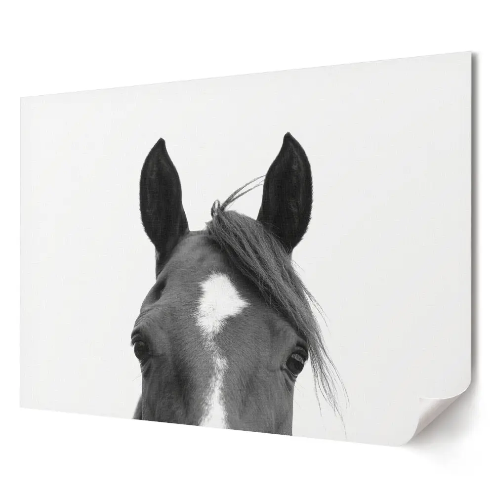 Poster de perete elegant cu portret de cal pe fundal alb