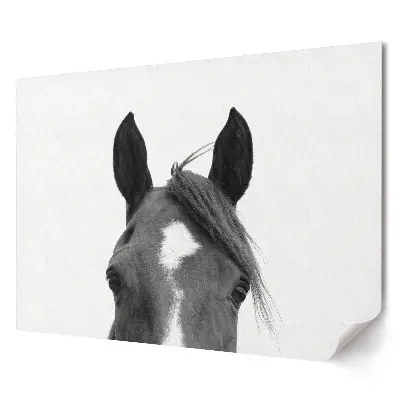 Poster de perete elegant cu portret de cal pe fundal alb