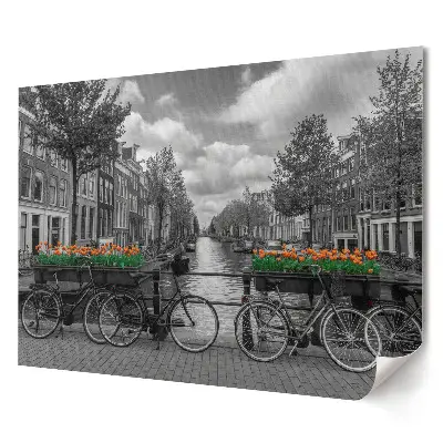 Tablou canvas modern Biciclete și lalele în Amsterdam