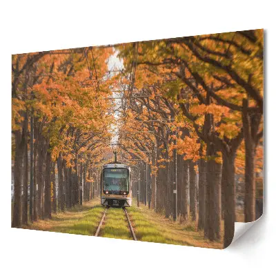 Poster decorativ pentru living cu tramvai pe o alee cu copaci de toamnă