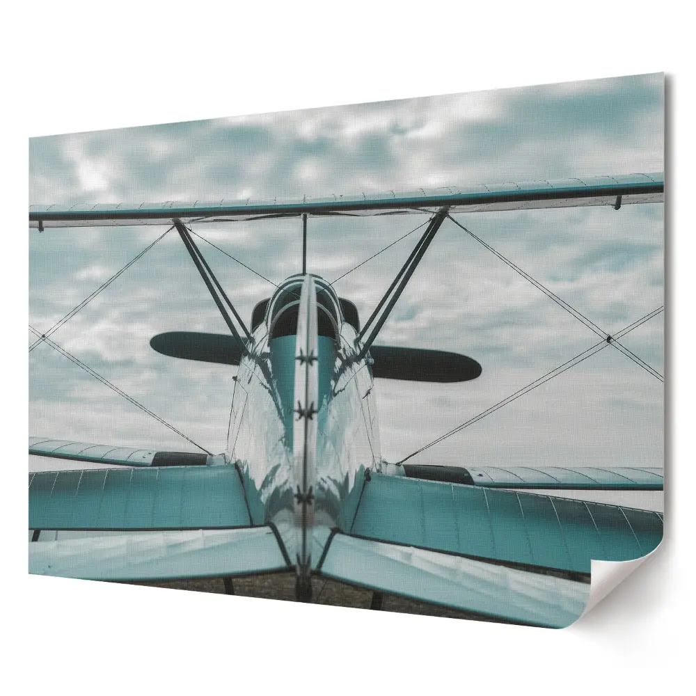 Poster de perete elegant cu vedere din spate a unui avion pe cer