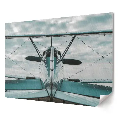 Poster de perete elegant cu vedere din spate a unui avion pe cer