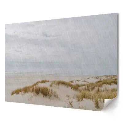 Poster pentru living cu peisaj deșertic al dunelor de coastă