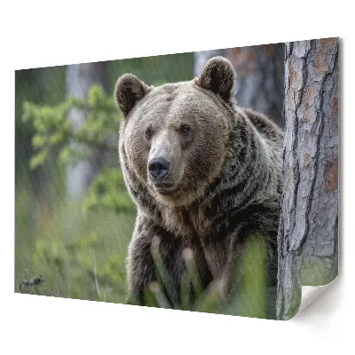 Poster stilizat cu urs în pădure pentru living