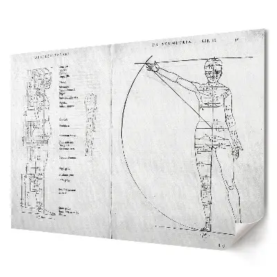 Poster decorativ pentru living Analiza proporțiilor corpului uman