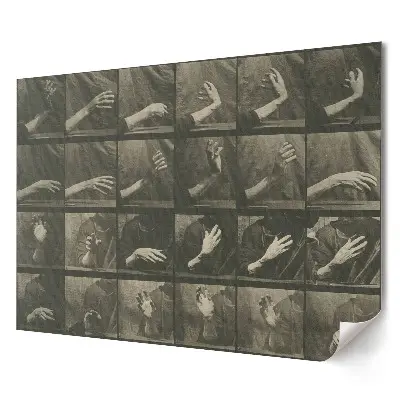 Tablou canvas modern cu gesturi ale mâinilor în diferite poziții