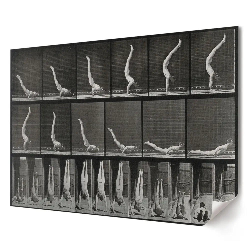 Tablou canvas modern Evoluția mișcării în gimnastica ritmică